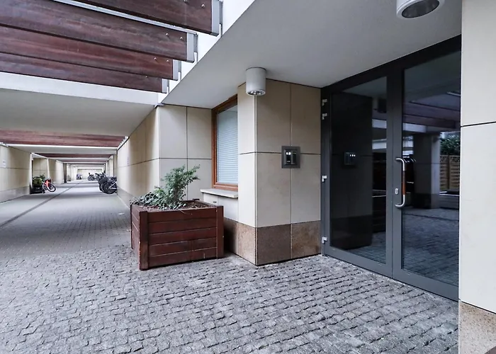 Six Dreams Spot * ポズナン